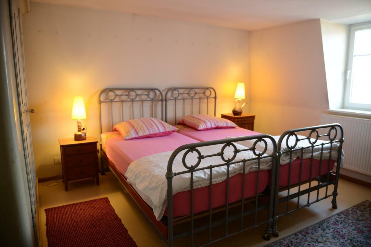 Albrecht Guest Apartement Kembs Экстерьер фото