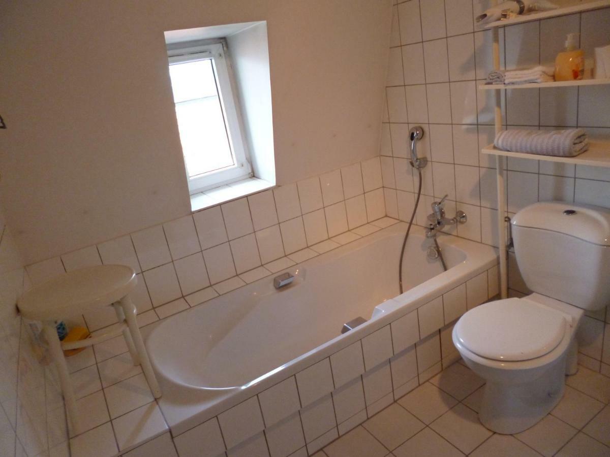Albrecht Guest Apartement Kembs Экстерьер фото